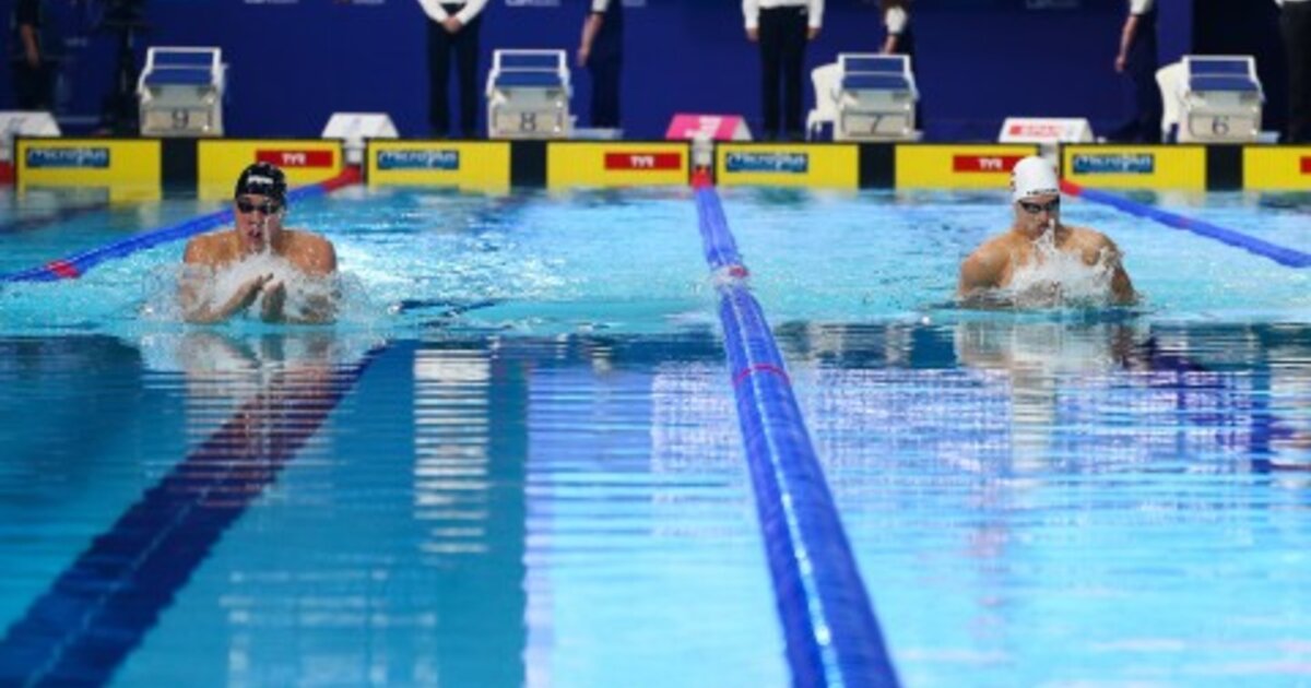 Carden Rothbauer Österreichischer Schwimmverband: Bayer und Rothbauer im EM-Semifinale ...